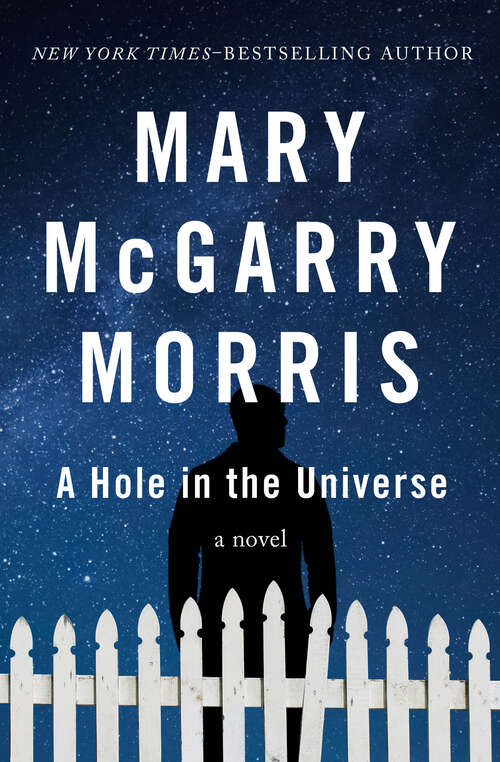 A Hole in the Universe: A Novel