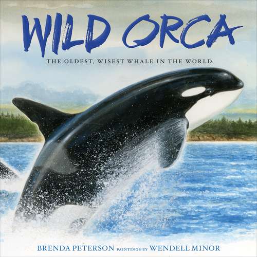 Book cover of Wild Orca: The Oldest, Wisest Whale in the World