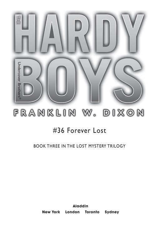 Book cover of Forever Lost