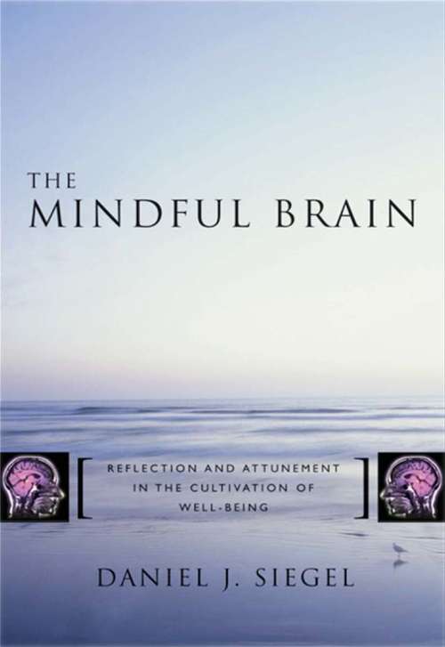 The Mindful Brain: Reflection and Attunement in the Cultivation of Well-Being (Norton Series on Interpersonal Neurobiology)