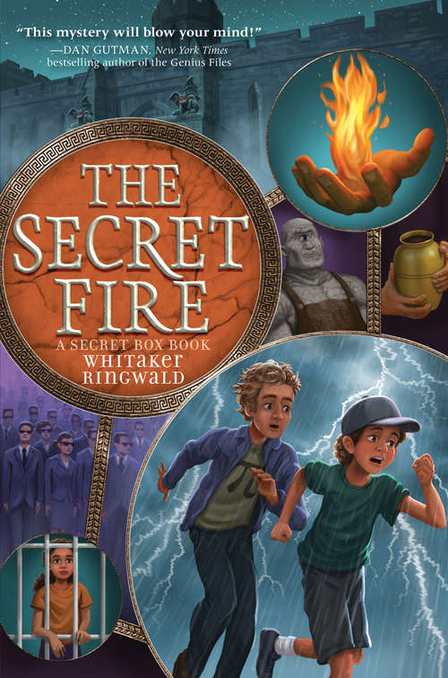 Book cover of The Secret Fire