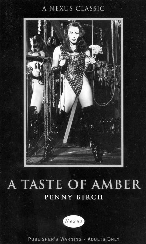 Book cover of A Taste of Amber