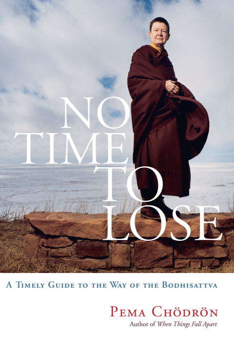 Book cover of No Time to Lose: A Timely Guide to the Way of the Bodhisattva