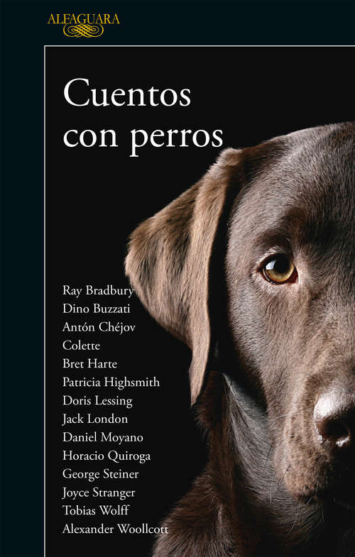 Book cover of Cuentos con perros