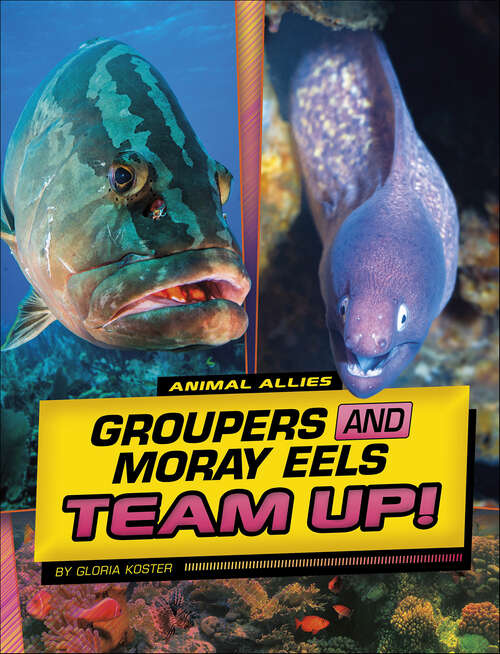 Book cover of Groupers and Moray Eels Team Up! (Animal Allies)