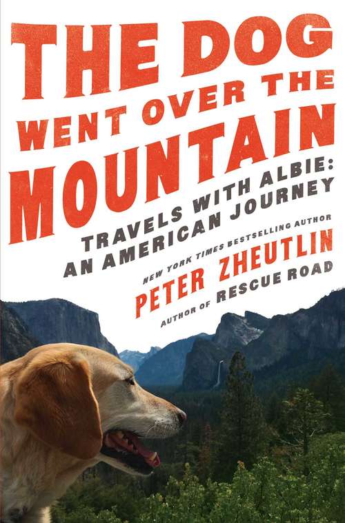Book cover of The Dog Went Over the Mountain: Travels With Albie: An American Journey