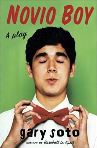 Book cover of Novio Boy: A Play