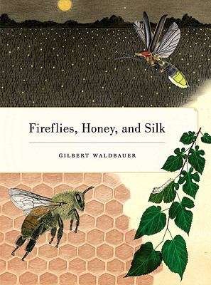 Book cover of Fireflies, Honey, and Silk