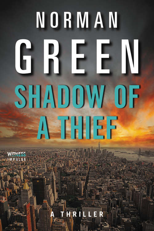 Book cover of Shadow of a Thief: A Thriller