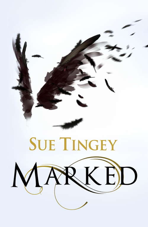 Marked: the first in the magical The Soulseer Chronicles