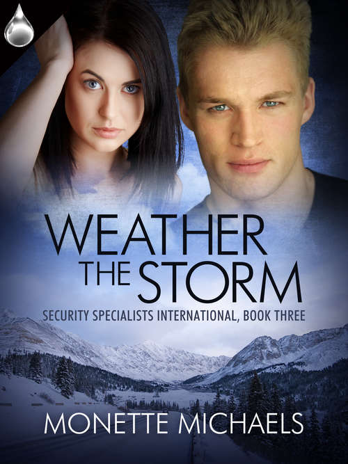 Book cover of Weather the Storm (Security Specialists International #3)