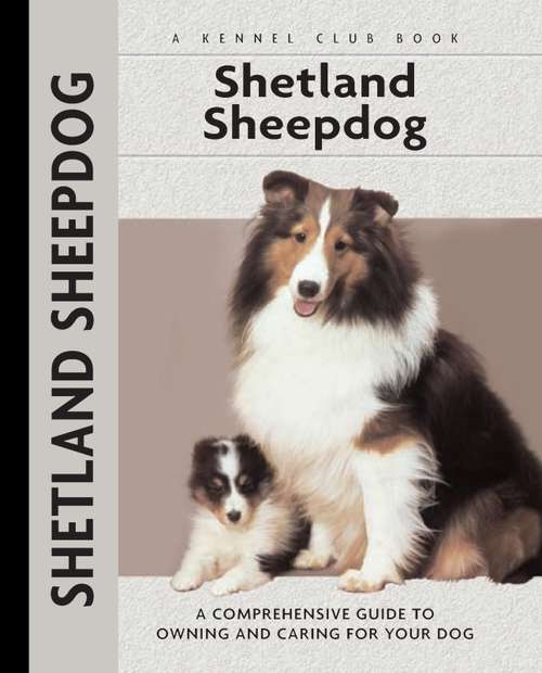 Book cover of Shetland Sheepdog