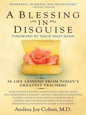 Book cover of A Blessing in Disguise