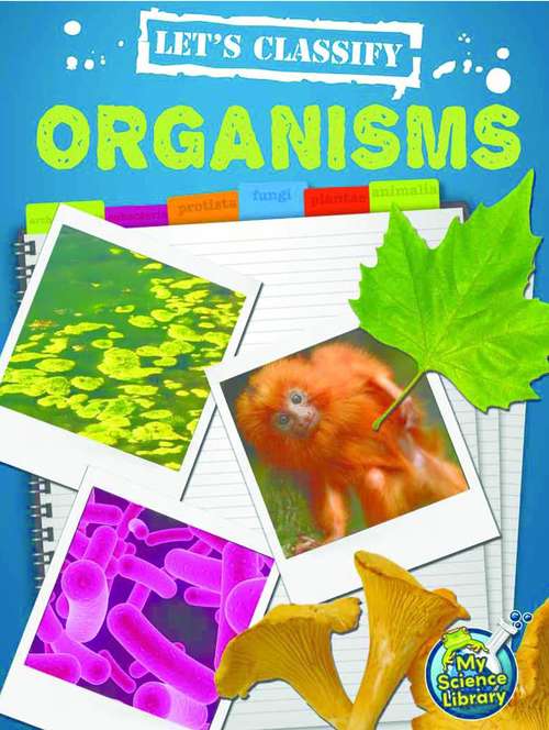 Book cover of Let's Classify Organisms
