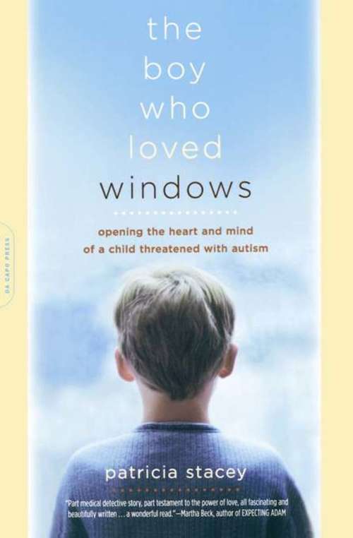 Book cover of The Boy Who Loved Windows