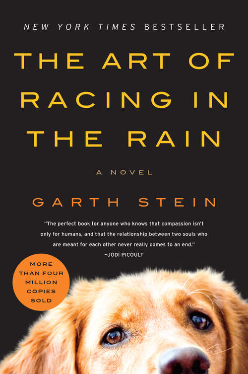 Book cover of The Art of Racing in the Rain: A Novel