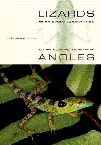 Book cover of Lizards in an Evolutionary Tree: Ecology of Adaptive Radiation in Anoles