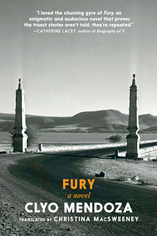 Book cover of Fury: A Novel