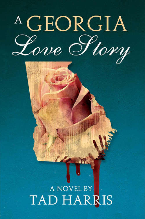Book cover of A Georgia Love Story