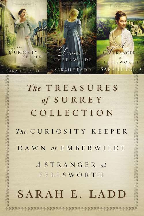 Book cover of The Treasures of Surrey Collection: The Curiosity Keeper, Dawn at Emberwilde, A Stranger at Fellsworth