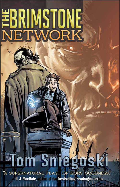 Book cover of The Brimstone Network (The\brimstone Network Ser. #1)