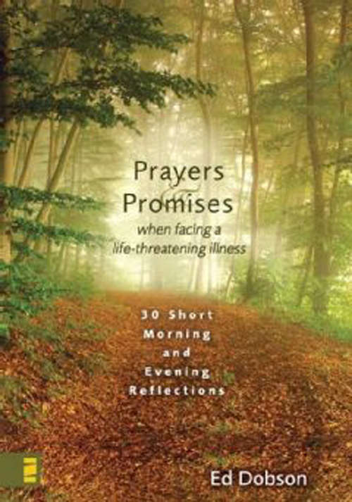 Book cover of Oraciones y Promesas