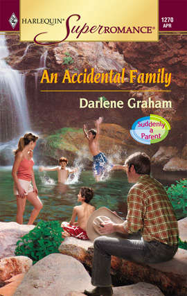 Book cover of An Accidental Family