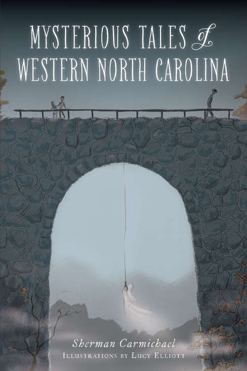 Book cover of Mysterious Tales of Western North Carolina