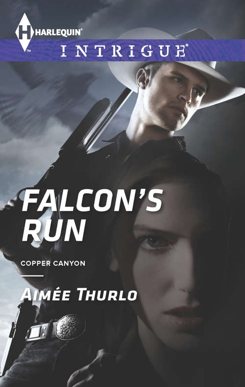 Book cover of Falcon's Run