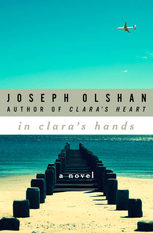 Book cover of In Clara's Hands: A Novel