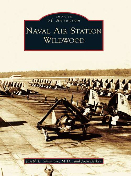 Cover image of Naval Air Station Wildwood