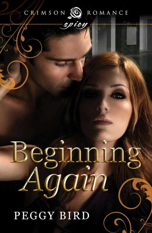 Book cover of Beginning Again: Book 1 in the Second Chances series