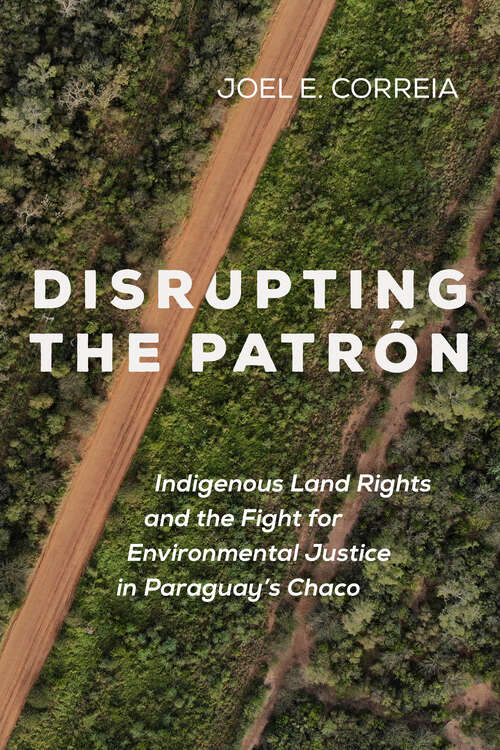 Book cover of Disrupting the Patrón: Indigenous Land Rights and the Fight for Environmental Justice in Paraguay's Chaco
