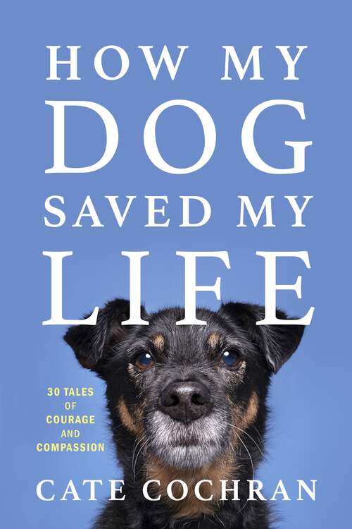 Book cover of How My Dog Saved My Life: Thirty Tales of Courage and Compassion