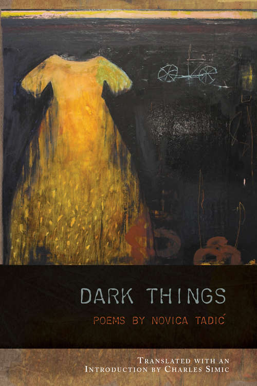 Book cover of Dark Things