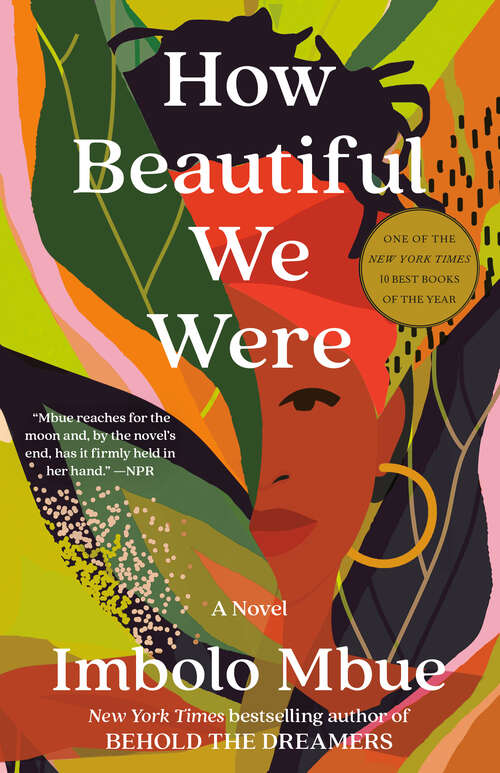 Book cover of How Beautiful We Were: A Novel