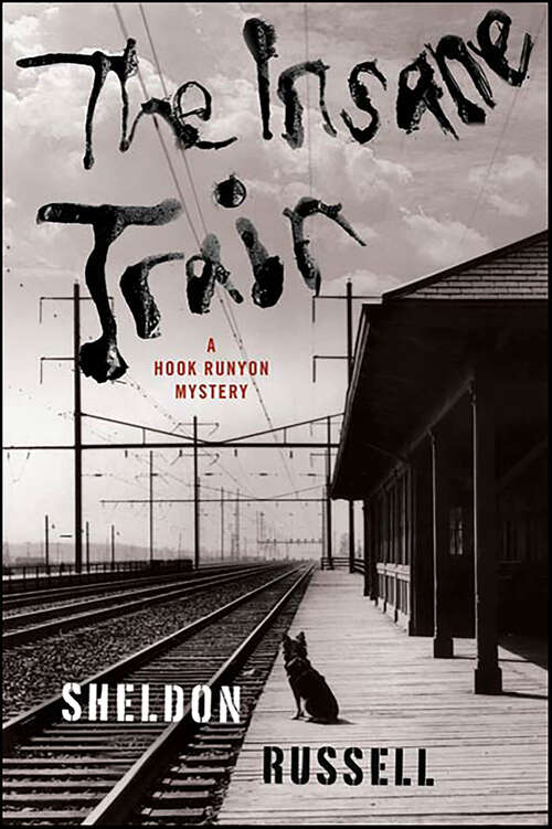 Book cover of The Insane Train (A Hook Runyon Mystery)