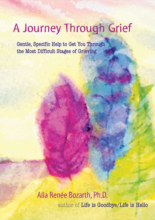 Book cover of A Journey Through Grief