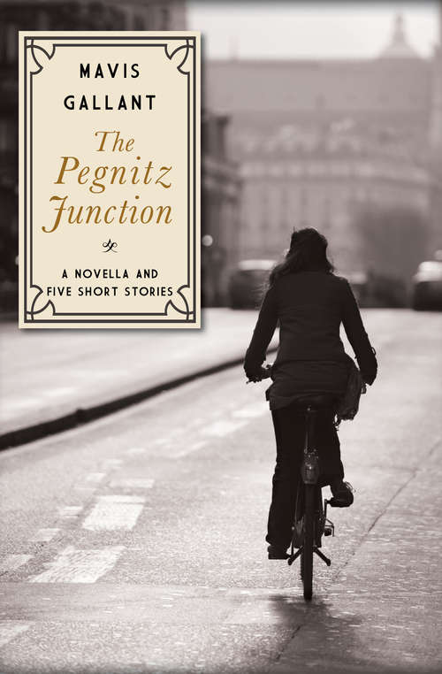 Book cover of The Pegnitz Junction