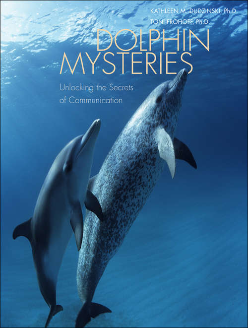 Book cover of Dolphin Mysteries