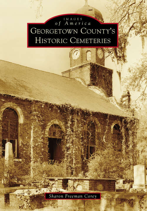 Book cover of Georgetown County's Historic Cemeteries