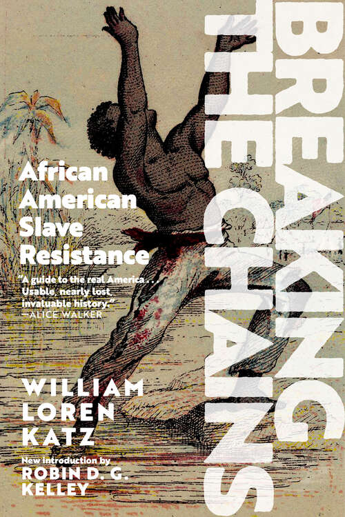 Book cover of Breaking the Chains: African American Slave Resistance