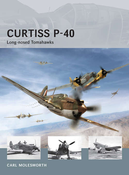Book cover of Curtiss P-40 - Long-nosed Tomahawks