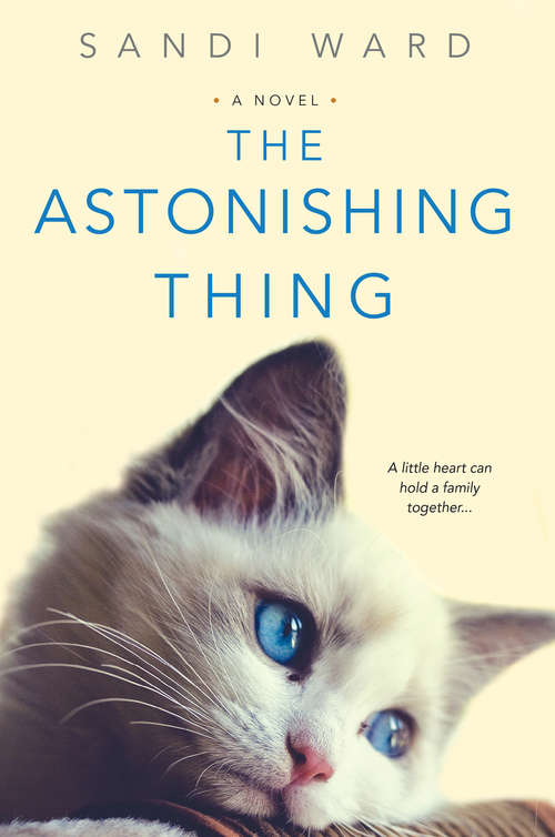 Book cover of The Astonishing Thing