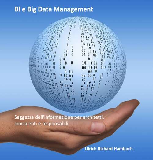 Book cover of BI e Big Data Management: Saggezza dell'informazione per architetti, consulenti e responsabili