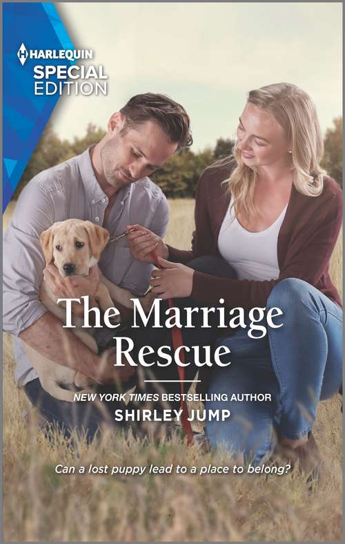 The Marriage Rescue: Caribbean Escape With The Tycoon / The Marriage Rescue (the Stone Gap Inn) (The Stone Gap Inn #4)