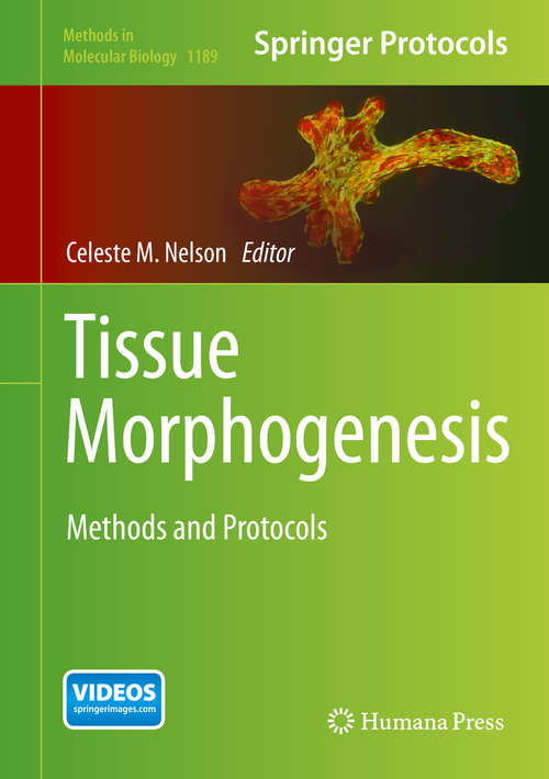 Book cover of Tissue Morphogenesis