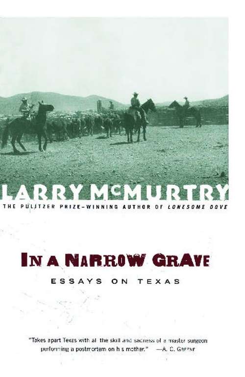 Book cover of In a Narrow Grave: Essays on Texas
