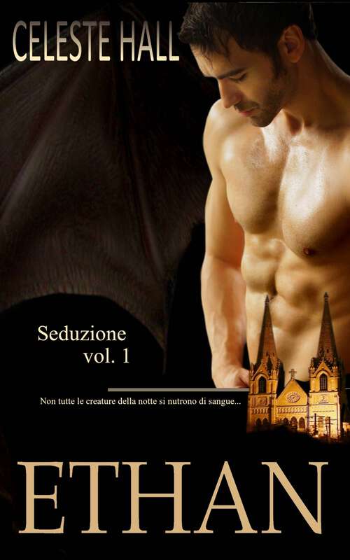 Book cover of Ethan: Seduzione vol. 1