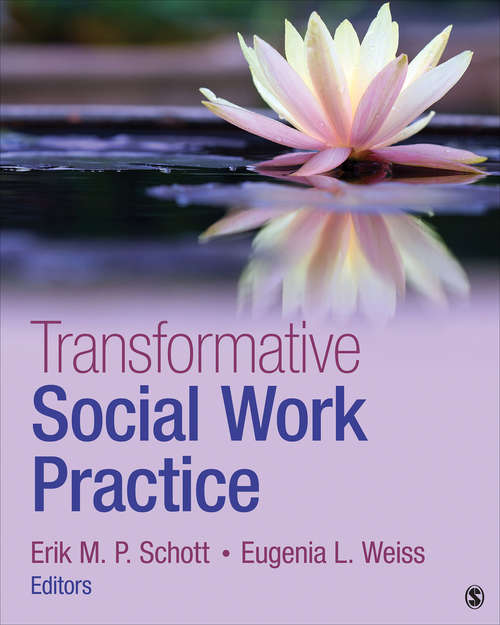 Transformative Social Work Practice: A Meta-framework Approach